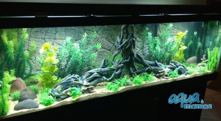 3D Background Thin Rock 97x45cm to fit Aqua Oak 110 Aquarium