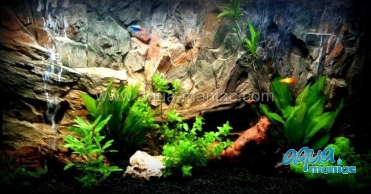 3D Rock Root Background 117x56cm in 2 section to fit 4 foot by 2 foot tanks