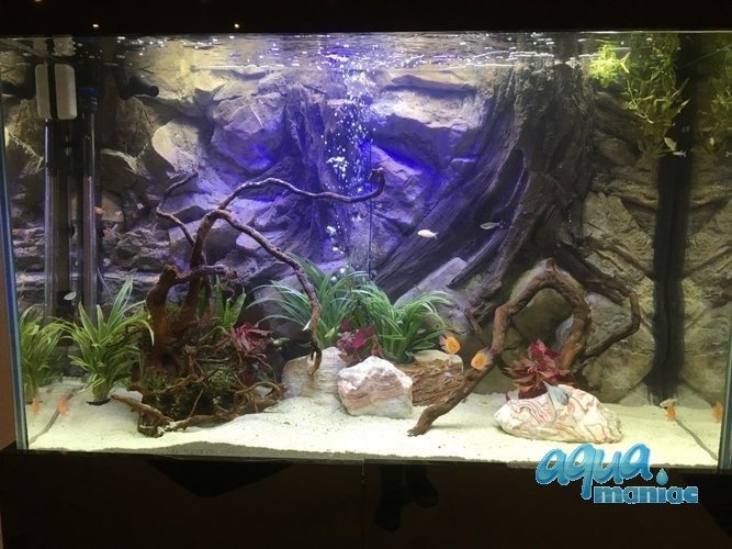 3D Root Background 57x56cm  to fit 2 foot by 2 foot tanks