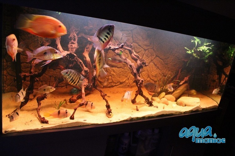 3D Thin Rock Background 209x56cm in 4 section to fit 7 foot by 2 foot tanks