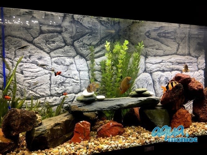 3D grey thin background 113x54cm to fit Aqua One 230 fish tank