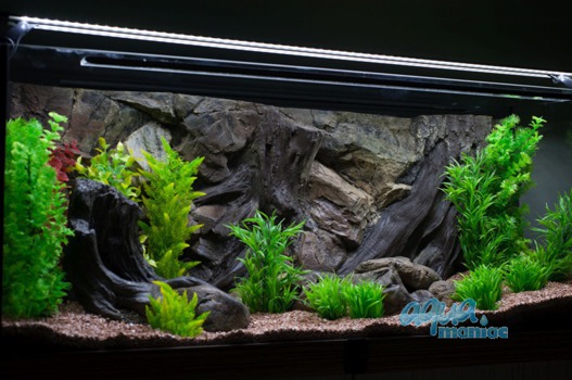 3D root background 97x36cm
