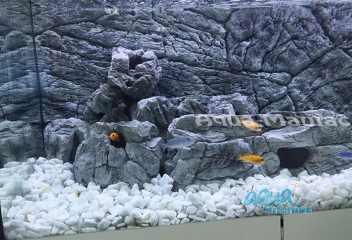 Long grey aquarium rock 
