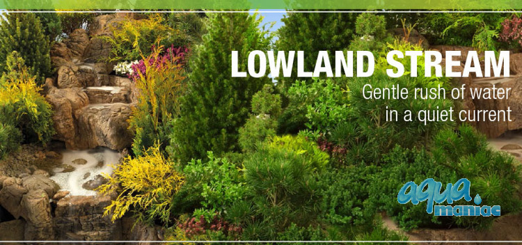 Lowland stream - water feature