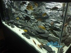 Fluval Roma 200 grey rock background 97x45 2 sections