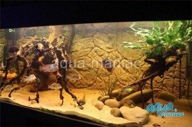 Fluval Roma 200 thin rock background 97x45cm 2 sections