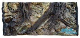 Fluval Roma 90 root background 58x40cm 1 section