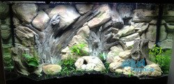 JUWEL RIO 240 3D Root background 117x45cm in 2 sections