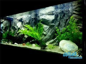 JUWEL Vision 180 3D Root Background 90x45cm in 2 sections